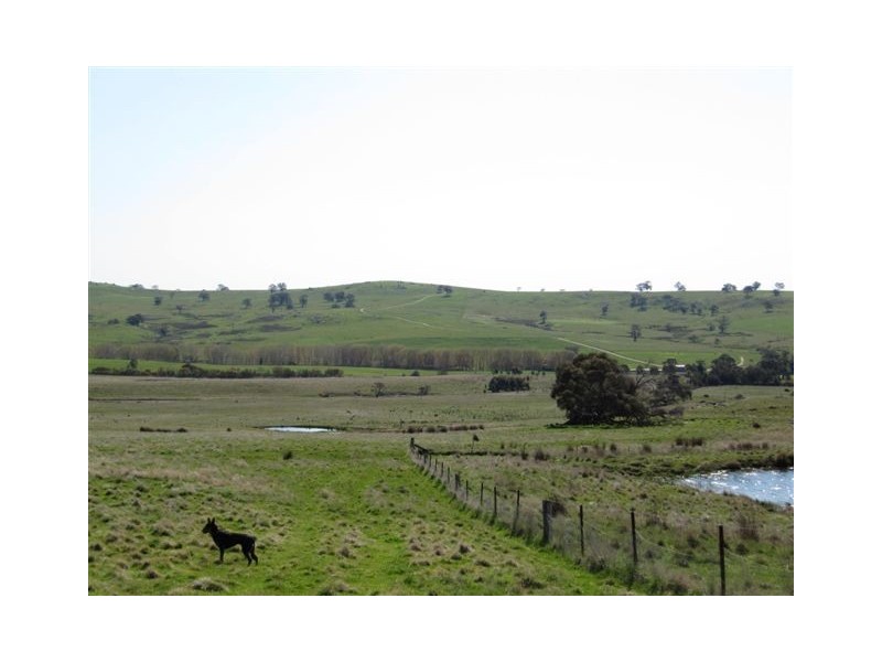 1338 Baynton Rd, Pastoria VIC 3444