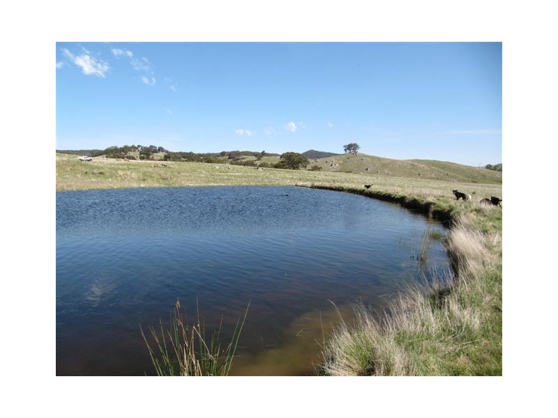 1338 Baynton Rd, Pastoria VIC 3444