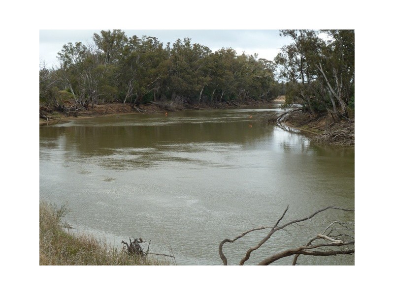 446 Perricoota Road, Moama NSW 2731