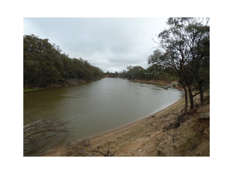446 Perricoota Road, Moama NSW 2731