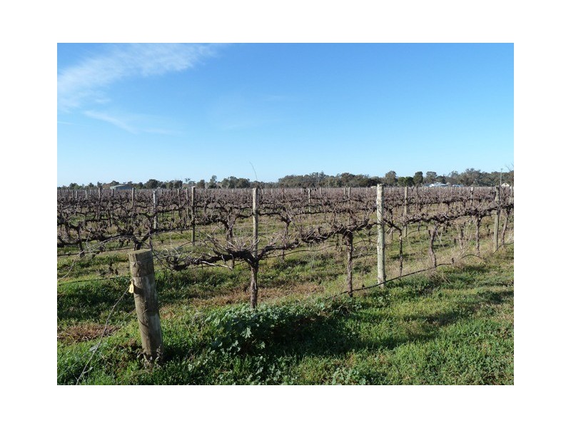 446 Perricoota Road, Moama NSW 2731