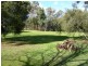 Lot 2 – 6574 Maroondah Hwy, Yarck VIC 3719