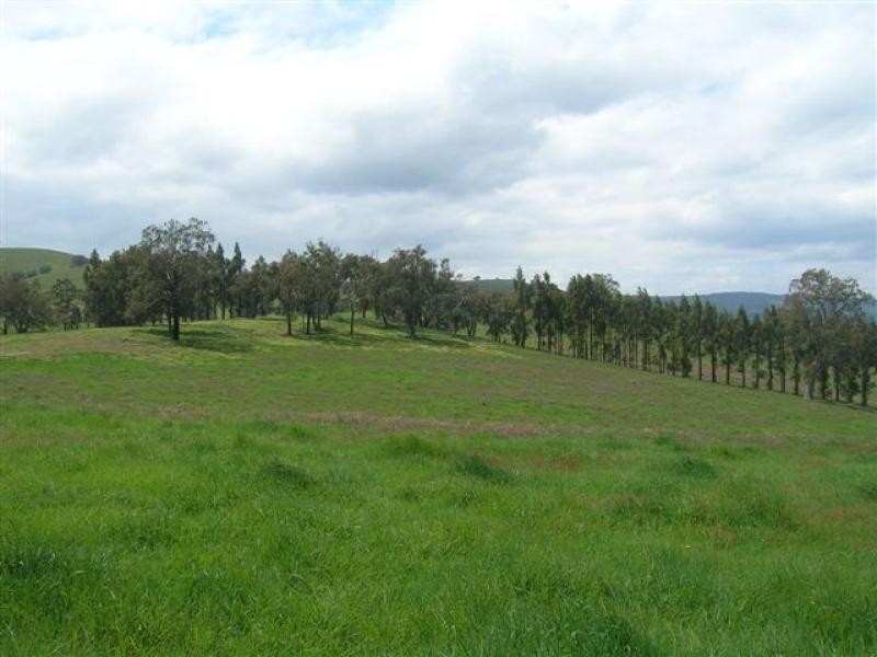 144 Murrindindi Road, Yea VIC 3717