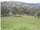 144 Murrindindi Road, Yea VIC 3717
