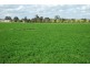 77 Wahring – Euroa Rd, Wahring VIC 3608