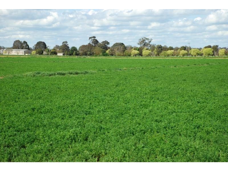 77 Wahring – Euroa Rd, Wahring VIC 3608