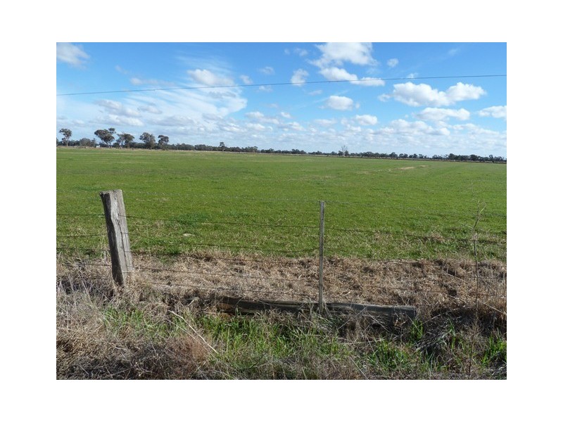 1169 Whinfield Road, Bamawm VIC 3561