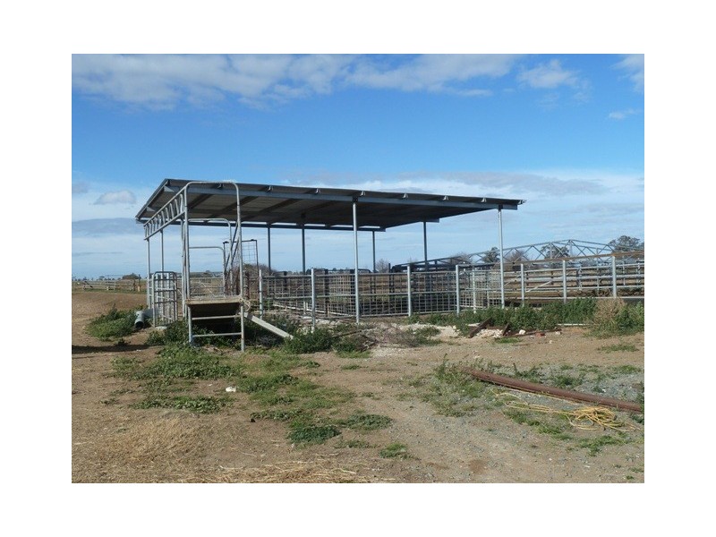 1169 Whinfield Road, Bamawm VIC 3561