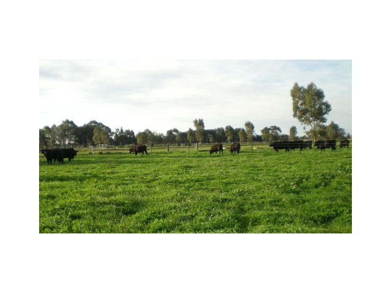 1304 Singer Road, Lockington VIC 3563