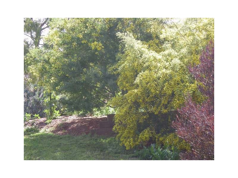 1304 Singer Road, Lockington VIC 3563