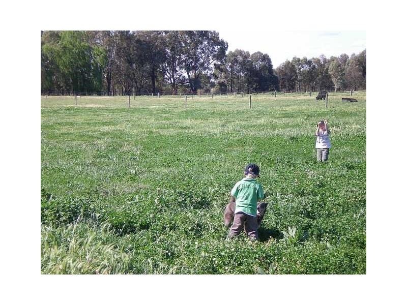 1304 Singer Road, Lockington VIC 3563