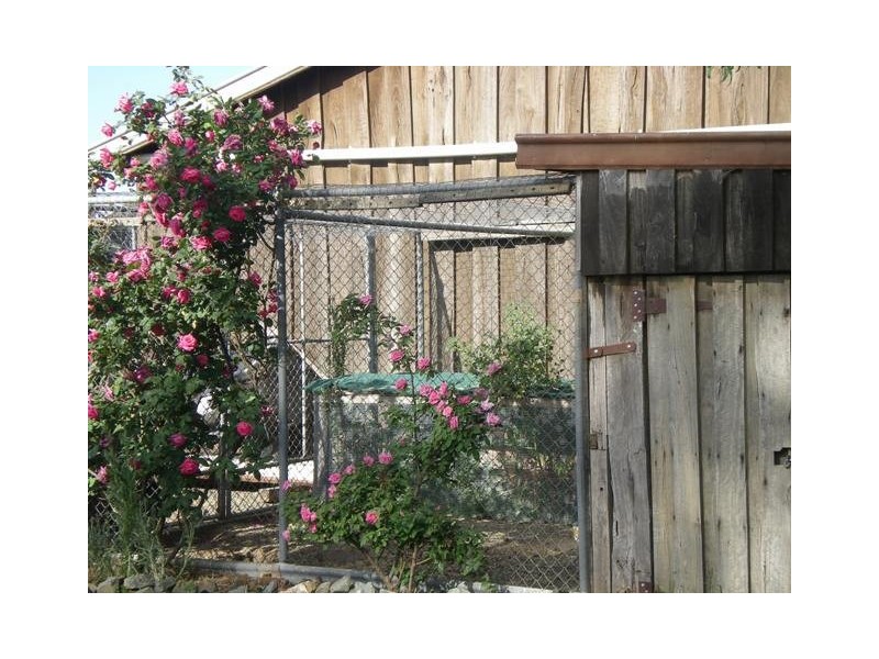 1304 Singer Road, Lockington VIC 3563