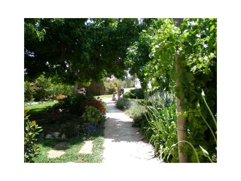 1304 Singer Road, Lockington VIC 3563