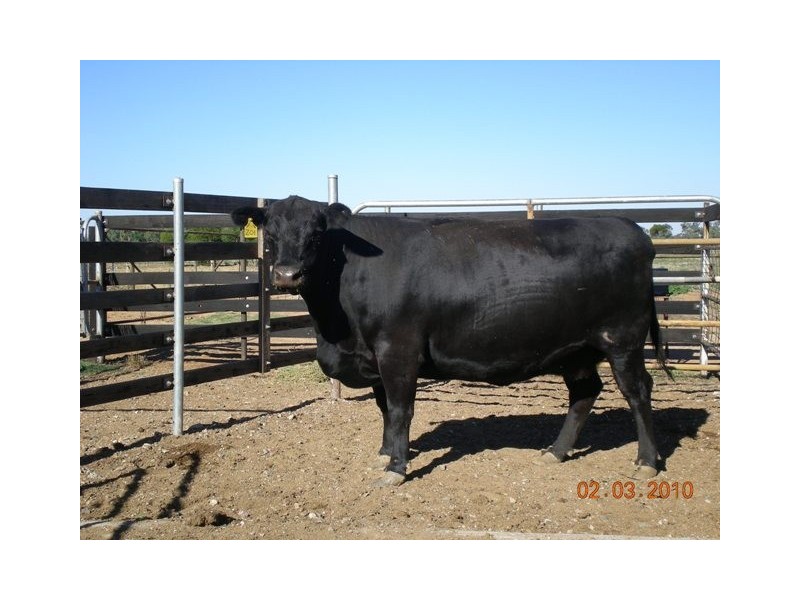 1304 Singer Road, Lockington VIC 3563