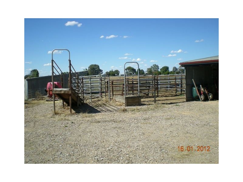 1304 Singer Road, Lockington VIC 3563