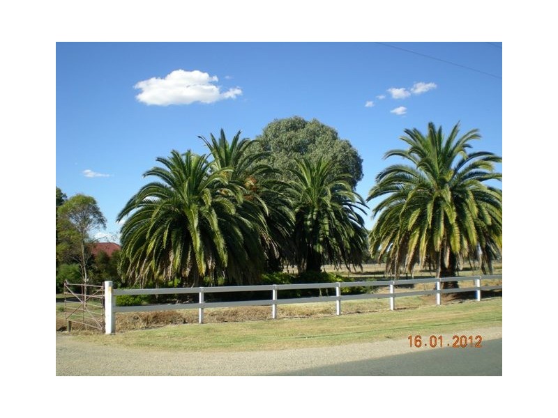 1304 Singer Road, Lockington VIC 3563
