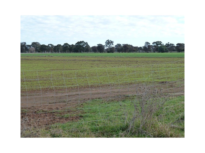 Lot 215 Tandarra lane, Moama NSW 2731
