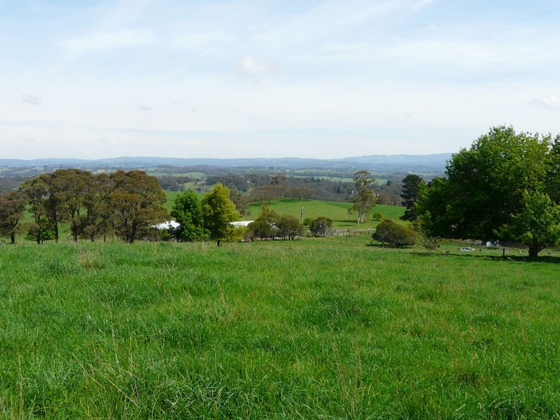 125 Sheepstation Creek Road, Woori Yallock VIC 3139