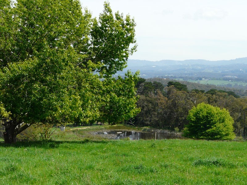 125 Sheepstation Creek Road, Woori Yallock VIC 3139