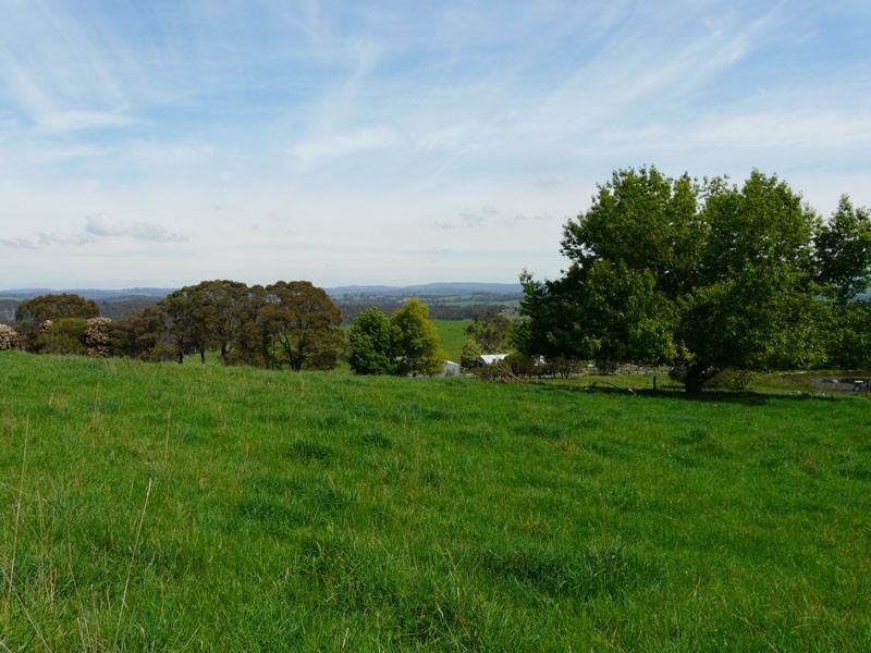 125 Sheepstation Creek Road, Woori Yallock VIC 3139