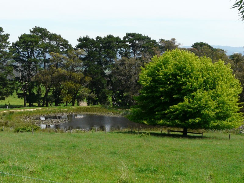 125 Sheepstation Creek Road, Woori Yallock VIC 3139