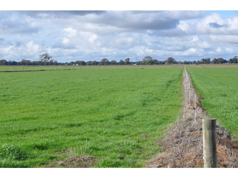 63 Sloleys Bridge Road, Numurkah VIC 3636