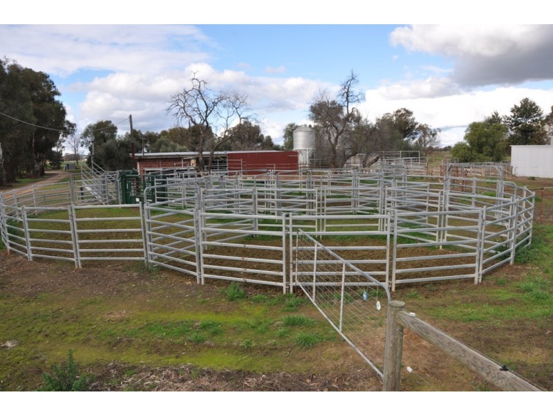 63 Sloleys Bridge Road, Numurkah VIC 3636