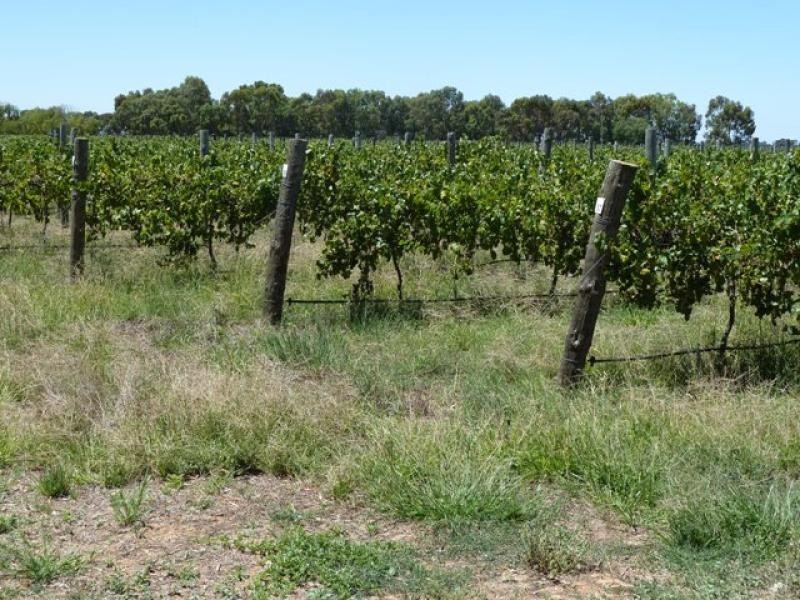 2200 Perricoota Road, Moama NSW 2731