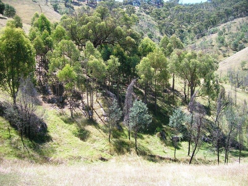 Lot 1/729 U.T Creek Rd, Alexandra VIC 3714