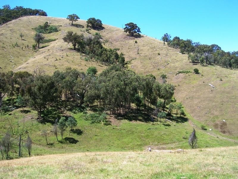 Lot 1/729 U.T Creek Rd, Alexandra VIC 3714