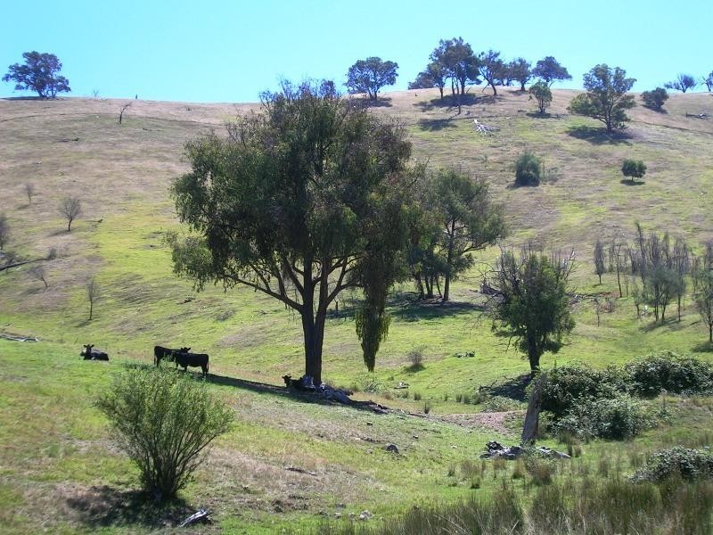 Lot 1/729 U.T Creek Rd, Alexandra VIC 3714