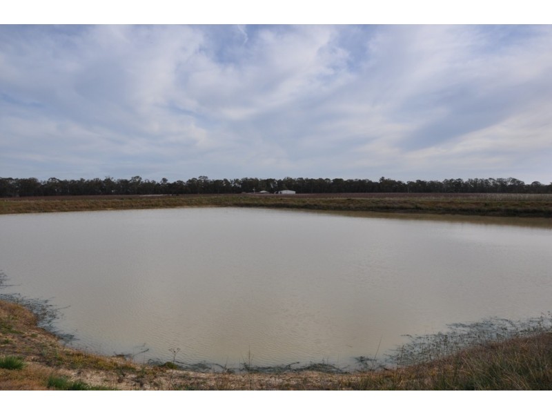 492 Koonoomoo Road, Cobram VIC 3644