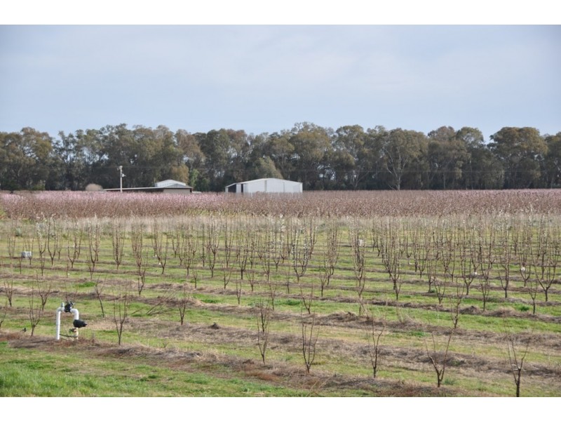 492 Koonoomoo Road, Cobram VIC 3644