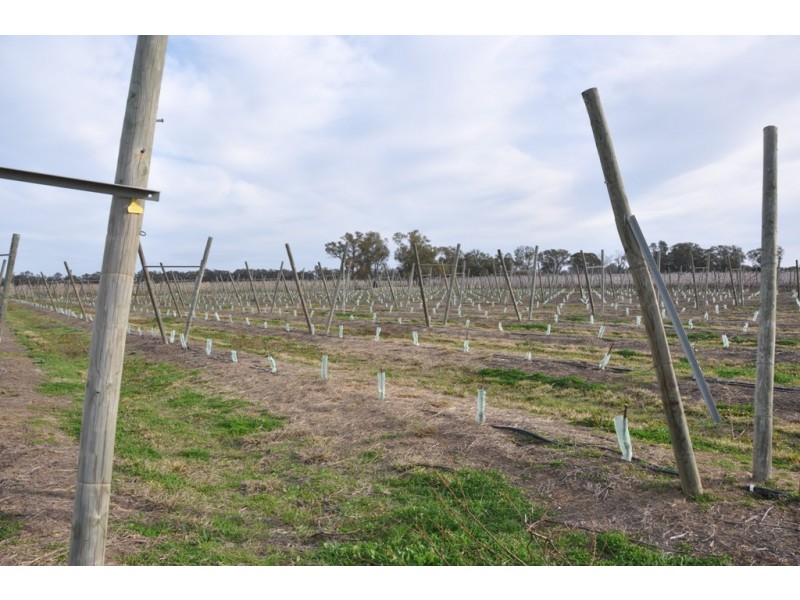 492 Koonoomoo Road, Cobram VIC 3644