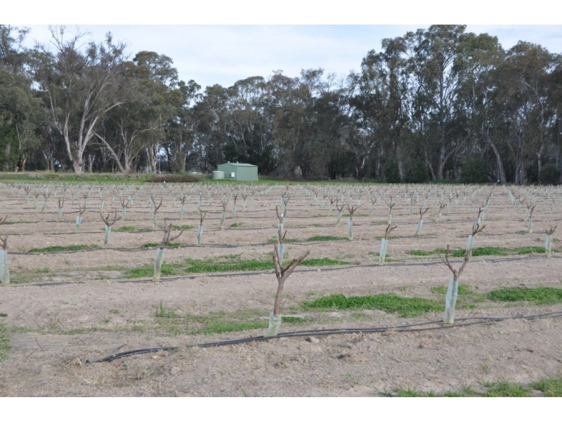 492 Koonoomoo Road, Cobram VIC 3644