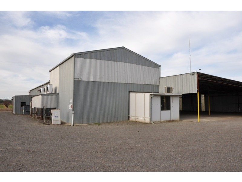 492 Koonoomoo Road, Cobram VIC 3644