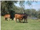Seymour VIC 3660