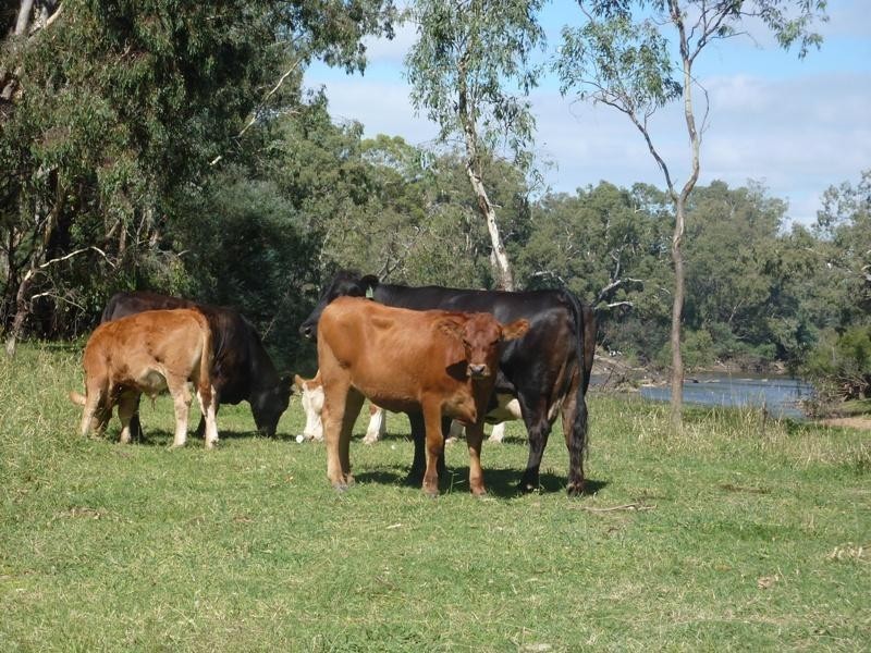 Seymour VIC 3660