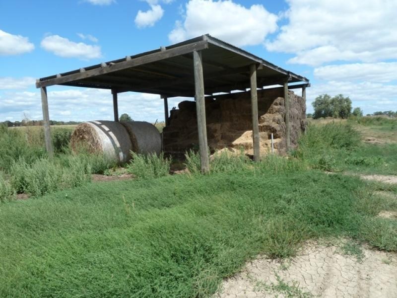 cnr Looker and Scott Road, Echuca Village VIC 3564