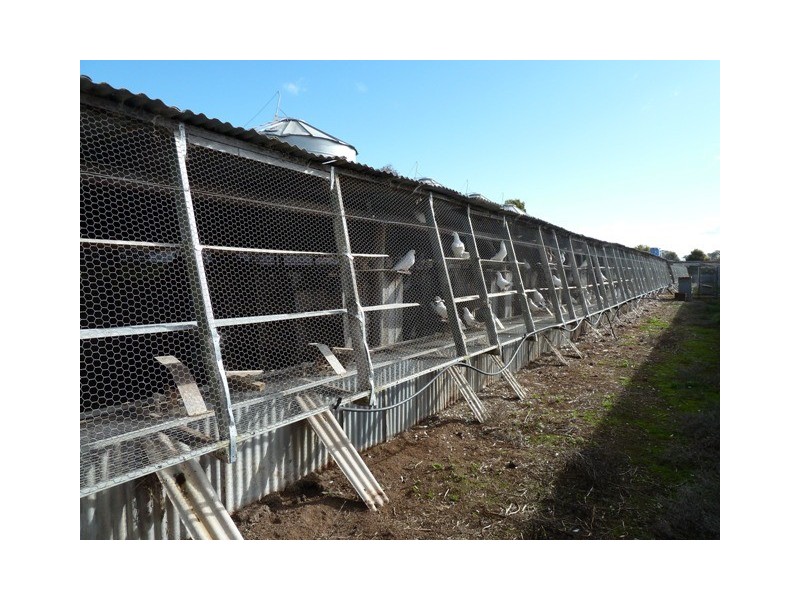 Lot 1 Cnr Moore and Rochester Strathallen rd, Rochester VIC 3561