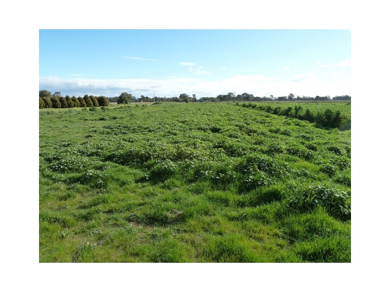 Lot 1 Cnr Moore and Rochester Strathallen rd, Rochester VIC 3561