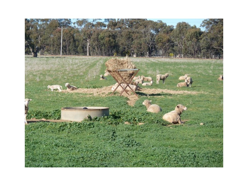 521 Thyra Road, Moama NSW 2731