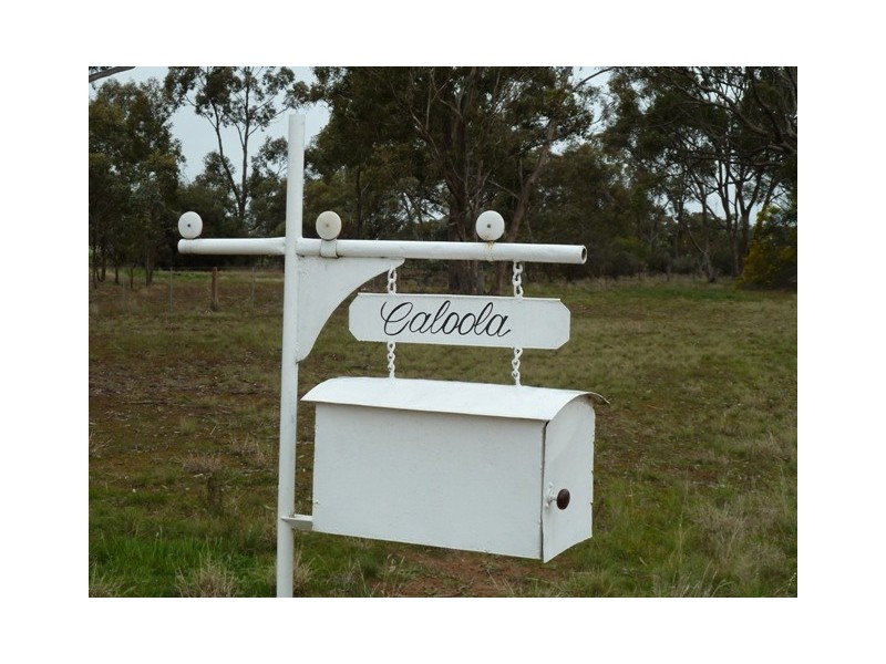 521 Thyra Road, Moama NSW 2731