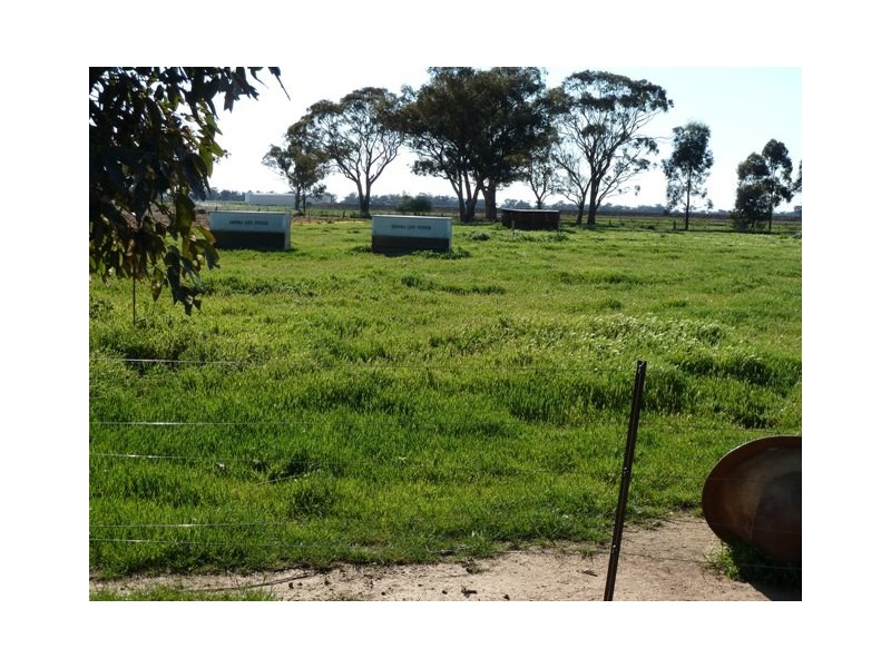 521 Thyra Road, Moama NSW 2731