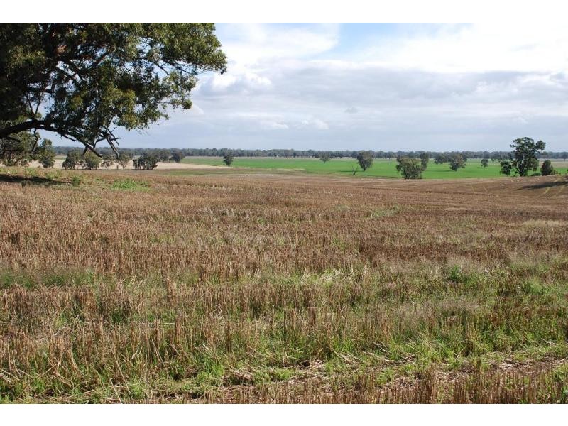 255 Midland Deviation Road, Cosgrove South VIC 3631