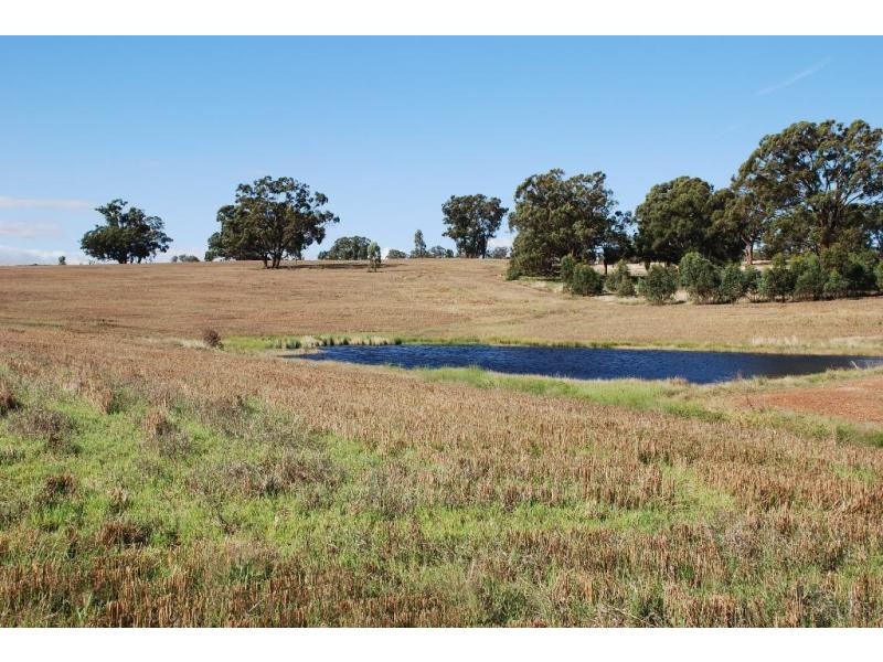 255 Midland Deviation Road, Cosgrove South VIC 3631