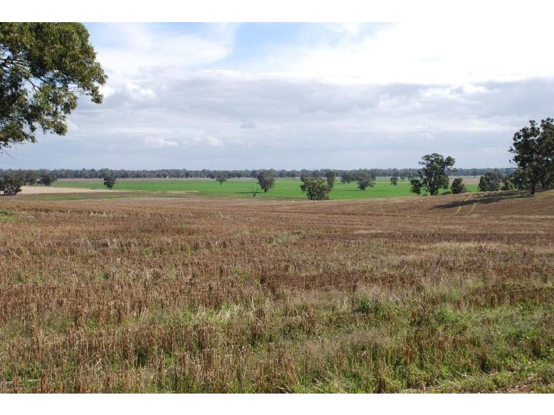 255 Midland Deviation Road, Cosgrove South VIC 3631