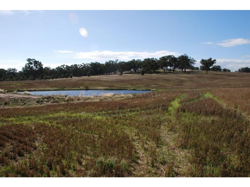 255 Midland Deviation Road, Cosgrove South VIC 3631