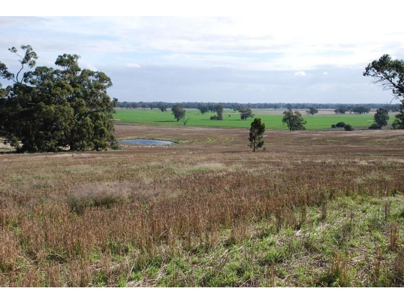 255 Midland Deviation Road, Cosgrove South VIC 3631