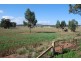 255 Midland Deviation Road, Cosgrove South VIC 3631